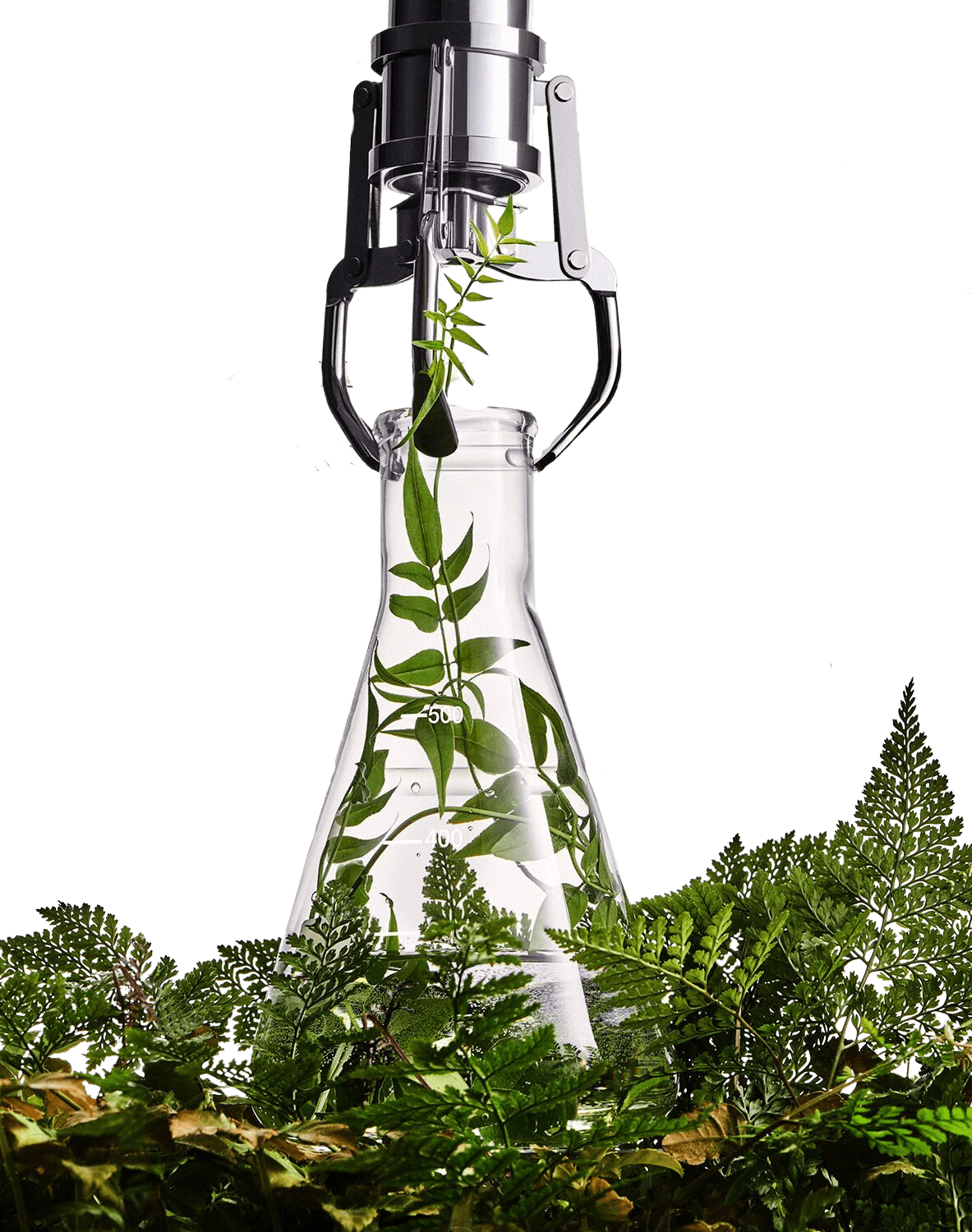 BioHackathon