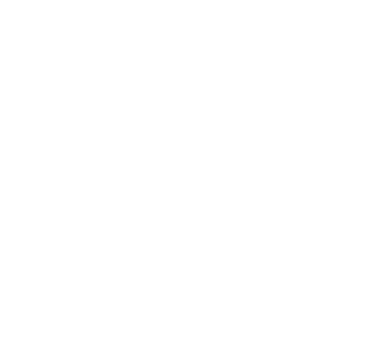 SF500